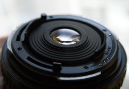 DSC_2251.jpg