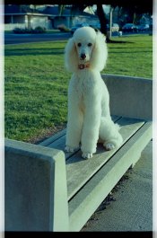 2011_10_Roll_03_Kodak_Ektar_100_34.jpg