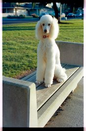 2011_10_Roll_03_Kodak_Ektar_100_34_bal.jpg