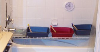 wash trays.jpg