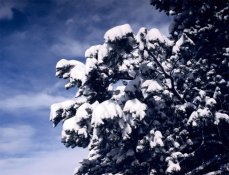 Spring-snow-Potrillo-Canyon.jpg
