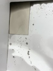 IMG_0519.jpeg