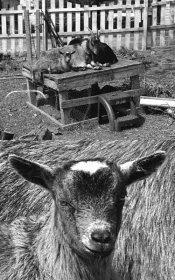 _tm100xtol11cmp.jpg
