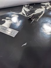 IMG_20201230_115219106 s.jpg