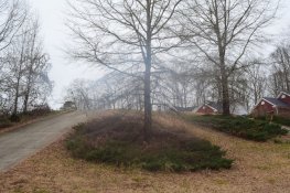 Fog RS.JPG