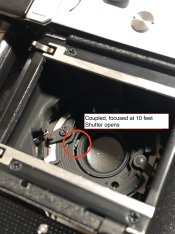 2_Coupled - IMG_3975.JPG