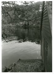 19720C10-p01@0.25x.jpg