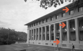Halina vertical issue.png