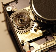 hasselblad_spring_pic.jpg
