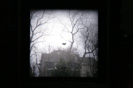 IMG_1058.JPG