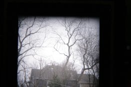 IMG_1059.JPG