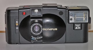 P1010044 crop web.jpg