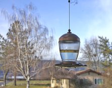 _DSC1660 crop web.jpg