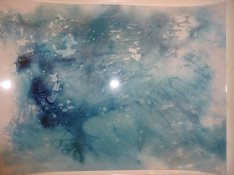DSC01668 (1).JPG