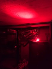 safelight-spot.jpg