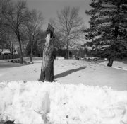 img006.jpg