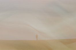 000000460007.jpg