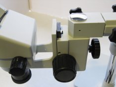 IMG_1897.JPG
