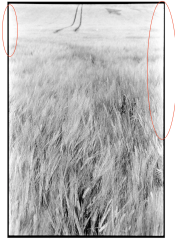 Screen Shot 2021-02-13 at 17.24.48.png
