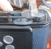 IMG_2194.jpg