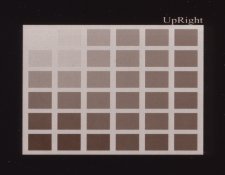 2018-03-13-0004_2.jpg 2018-03-13-0004_2.jpg