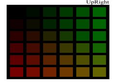 DiginegColorMatrix1_wide.jpg DiginegColorMatrix1_wide.jpg