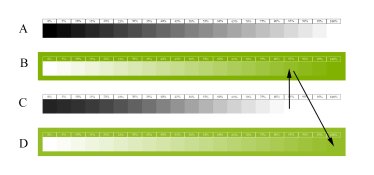 21Steps_Flip_invert_2.jpg 21Steps_Flip_invert_2.jpg