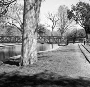 February 2021  MSA  (Another Park Another Sunday).jpg