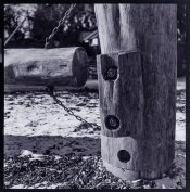 2021-04-8-Rollei 25.jpg