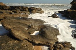 GCM_Washington Oaks-Beach-7.JPG