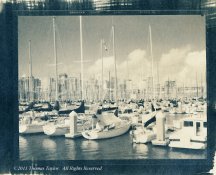 6330141357_3c19554c49_z.jpg