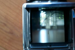 1Ds-2011-11-11-1108.jpg