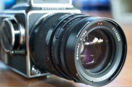 1Ds-2011-11-11-1115.jpg