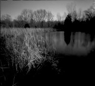 CharlestonFallsPond 11_12_11 006_7.jpg