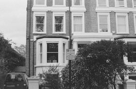 Broccoli whole neg-1.jpg