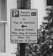 Broccoli section-1.jpg