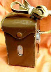 Case - rear.JPG
