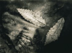 McCormicks Creek SP 05 print.jpg