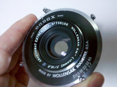 wolly-2.jpg