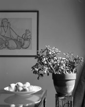 Test 4x5_original-5004.jpg