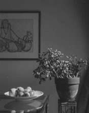 Test 4x5_modif-5004.jpg