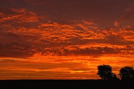 IowaSunrise.jpg