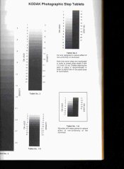 M-1 Copy and Duplr11.jpg