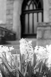 2021-04-09-01b.jpg