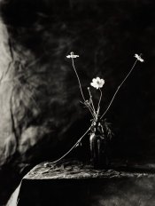 04 04 21 ilford grade 2 xray 24 x 30365 (3).jpg