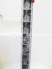 DSCN0722.jpg