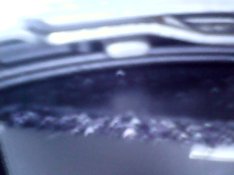 2021-04-17-172255.jpg