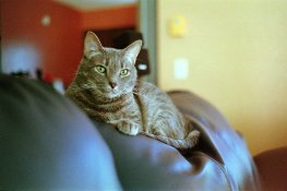 IMG_1933b.jpg