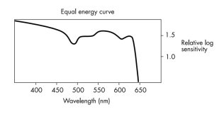HP5+_equal_energy.jpg