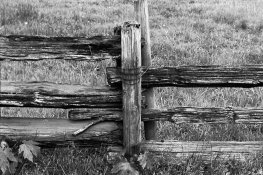 Tmax400-1.jpg